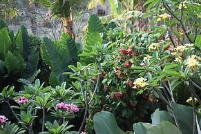 Ubud Wana Resort