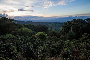 Chayote Lodge