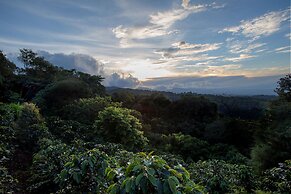 Chayote Lodge