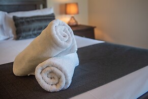 Oasis 26