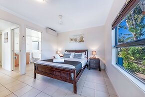 Oasis 26