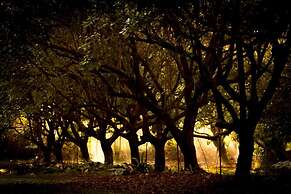 Cape Trib Farmstay