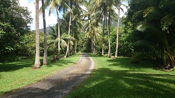 Cape Trib Farmstay