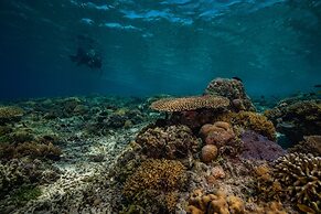 Trawangan Dive Centre