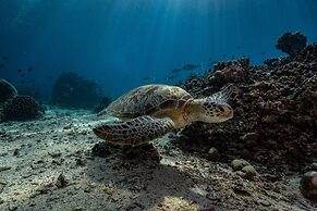 Trawangan Dive Centre