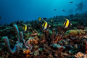 Trawangan Dive Centre