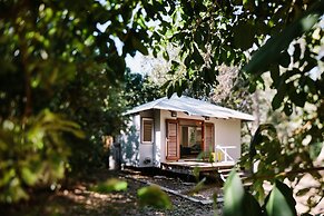 The Little Bush Hut