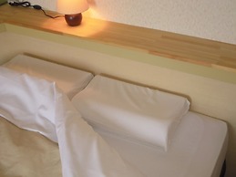 Niigata Park Hotel