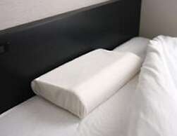 Niigata Park Hotel