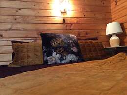 Alpine Lodge Motel