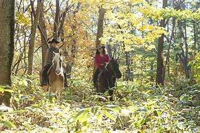 Hotel Shikanoyu