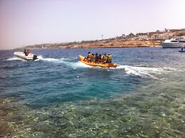Shark Bay Oasis