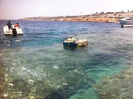 Shark Bay Oasis