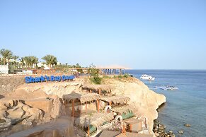 Shark Bay Oasis