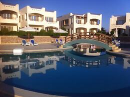 Shark Bay Oasis