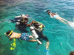 Shark Bay Oasis