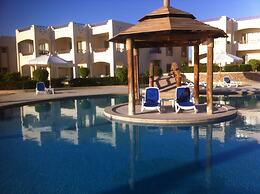 Shark Bay Oasis