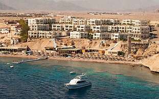 Shark Bay Oasis