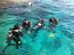 Shark Bay Oasis