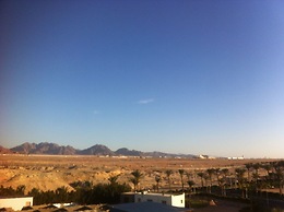 Shark Bay Oasis