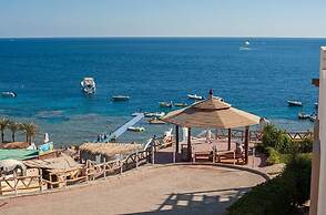 Shark Bay Oasis