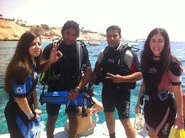 Shark Bay Oasis