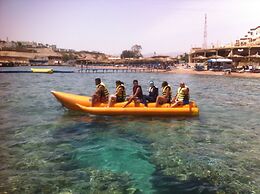 Shark Bay Oasis