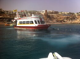 Shark Bay Oasis