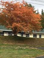 La Roma Motel