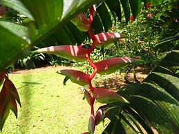 La Finca Chica