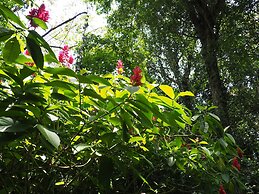 La Finca Chica