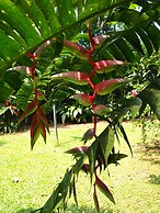 La Finca Chica