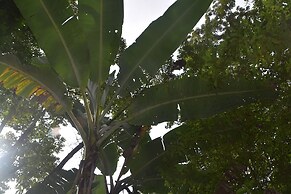 San Rafael Ecolodge