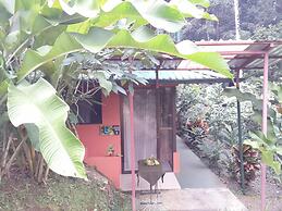 San Rafael Ecolodge