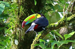 San Rafael Ecolodge