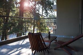 Viva Suites Pilar