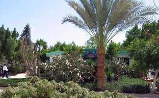 Ghazala Beach