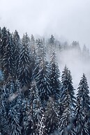 Hotel Jungfraublick Wengen