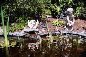 Alexandria House Bed & Breakfast