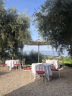 Prati Palai