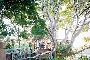 Emily Moon River Lodge