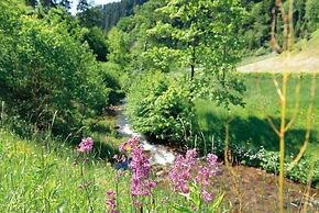 Gasthof Blume