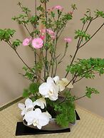 Nagomiyado Towa