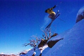 Swagman Chalet