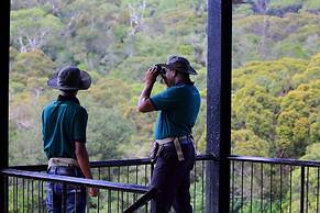 The Rainforest Ecolodge
