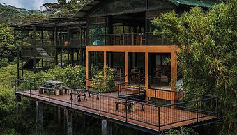 The Rainforest Ecolodge
