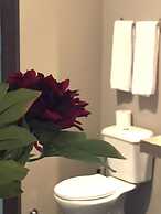 Apartamentos Vip Puro Centro