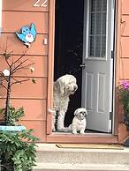 Emily's Place B&B