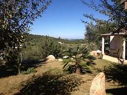 Locanda Murales