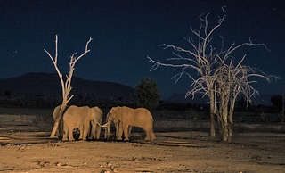 Sentrim Tsavo Lodge